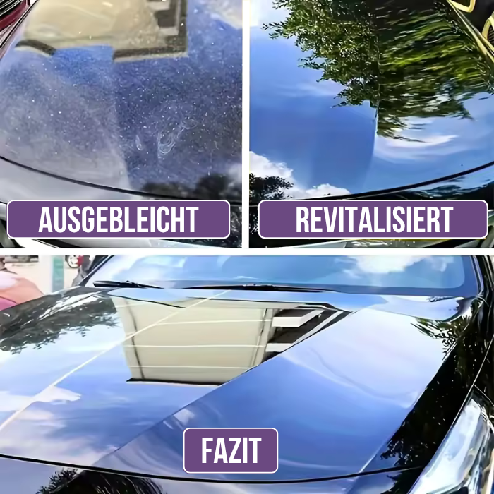 3 In 1 NanoShiel Schutzbeschichtung